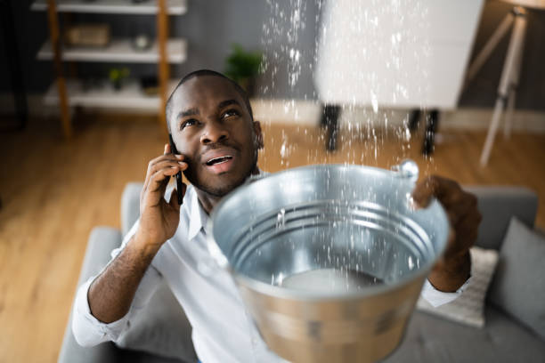 Best Crawl Space Water Damage Solutions in USA